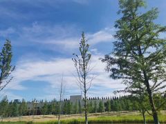 -黄海国家森林公园