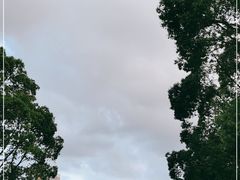-黄兴公园