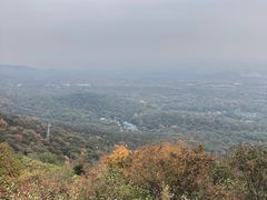 -紫金山天文台