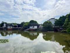 -八大山人梅湖景区