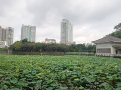 -荔湾湖公园