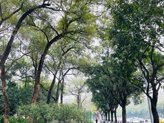 -东风公园