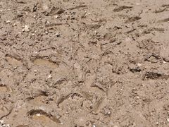 -松兰山海景大酒店·海鲜中餐厅