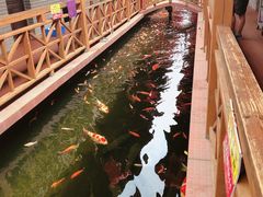 -侠成水上农庄(工业大道店)