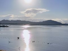 -观澜小洱海