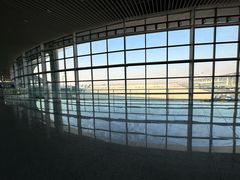 -青岛胶东国际机场