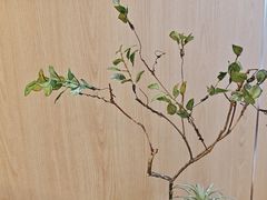 -景笙毋米粥底火锅(20年老字号)
