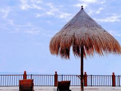 -北海金海湾红树林生态旅游区