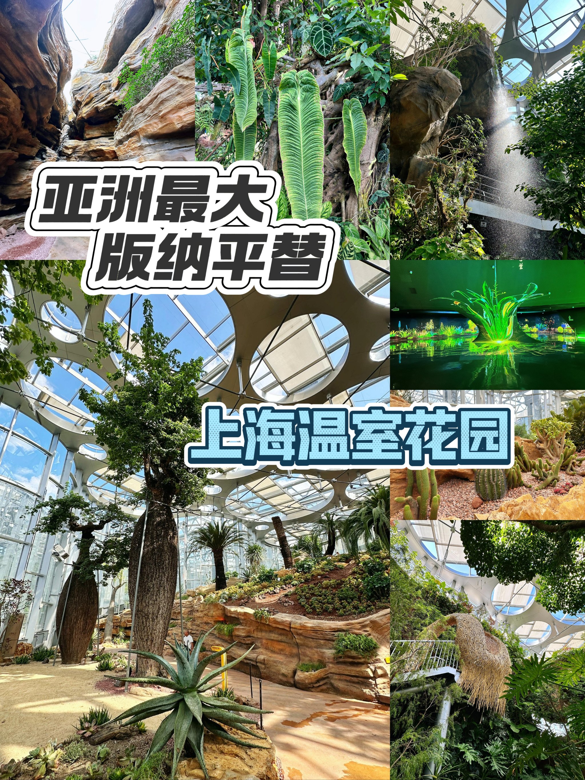 上海植物园温室简介图片