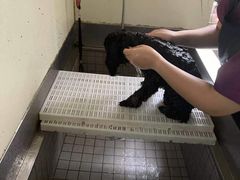 -宠颐生动物医院·小陆分院
