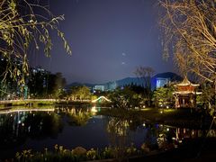 -四海公园(南山区)