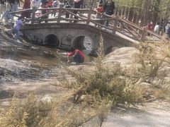 -白水寺森林公园