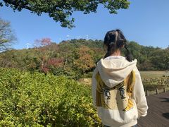 -东湖磨山景区