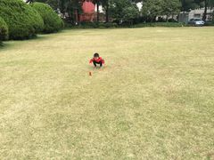 -中国福利会少年宫