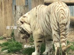 -常州淹城野生动物世界