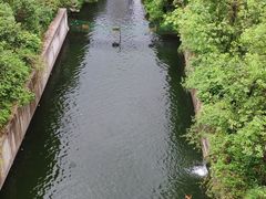 -重庆彩云湖湿地公园