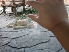 -泉州海丝野生动物世界