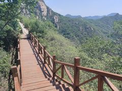 -大岭沟猕猴桃谷风景区