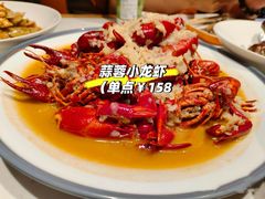 -杨氏青龙虾·羊蝎子(珠江路店)