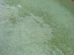 -海口观澜湖火山温泉谷