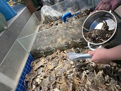 -和谐号蒸汽海鲜烤肉自助餐厅(欧亚新生活店)