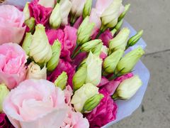 -双季花艺园艺市场(浦东店)