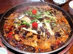 -老板恋上鱼(荣盛广场店)