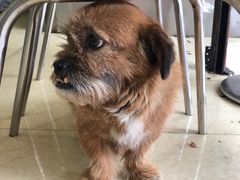 -艾麻子奶汤面(文庙街店)