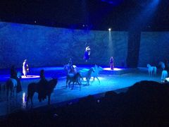 -cavalia·舞马