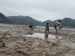 -北岐滩涂
