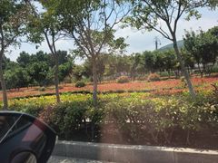 -连云港云龙涧原生态风景区