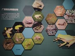 -柳州白莲洞洞穴科学博物馆
