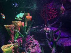 -沈阳海洋探索中心