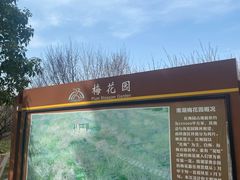 -南湖湿地公园