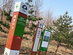 -东郊湿地公园