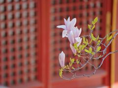 -潭柘寺景区