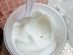-洪馨椰子