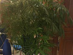 -葛记红焖羊肉(和平路形象店)