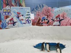 -广州热雪奇迹