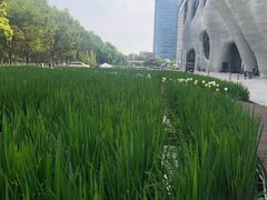 -证大喜玛拉雅中心