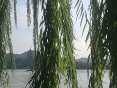 -杭州西湖柳莺里酒店·闻莺厅