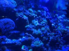 -太平洋海底世界