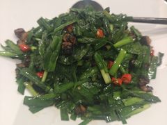 -丁老爷子苏香圆