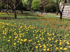 -长春公园(普阳街道)