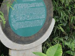-海南铜鼓岭景区