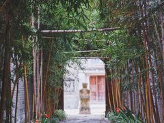 -龙潭水乡