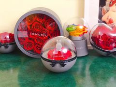 -ROSEONLY诺誓(青岛万象城店)