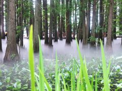 -东湖落雁景区
