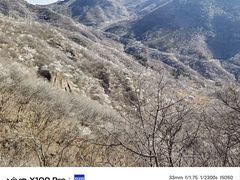 -妙峰山风景名胜区