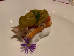 -蝶舍·MAISON PAPILLON